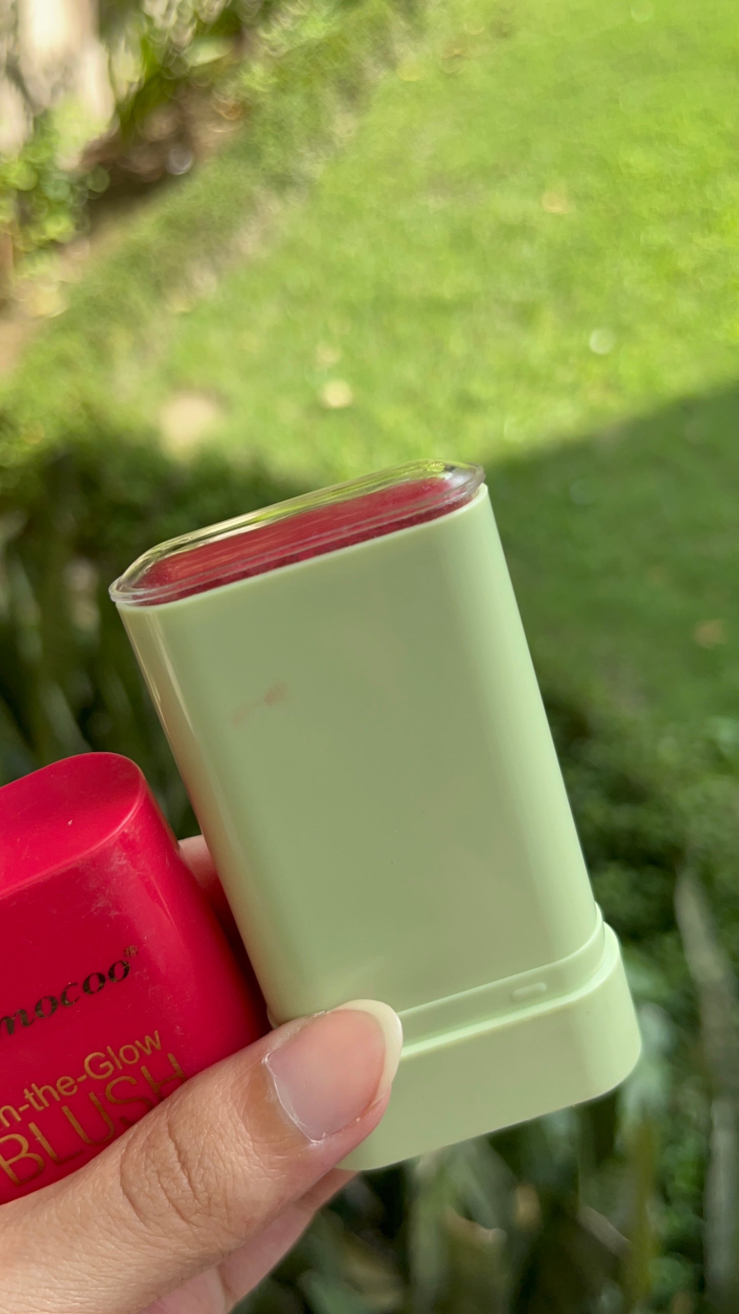 BLUSH Stick