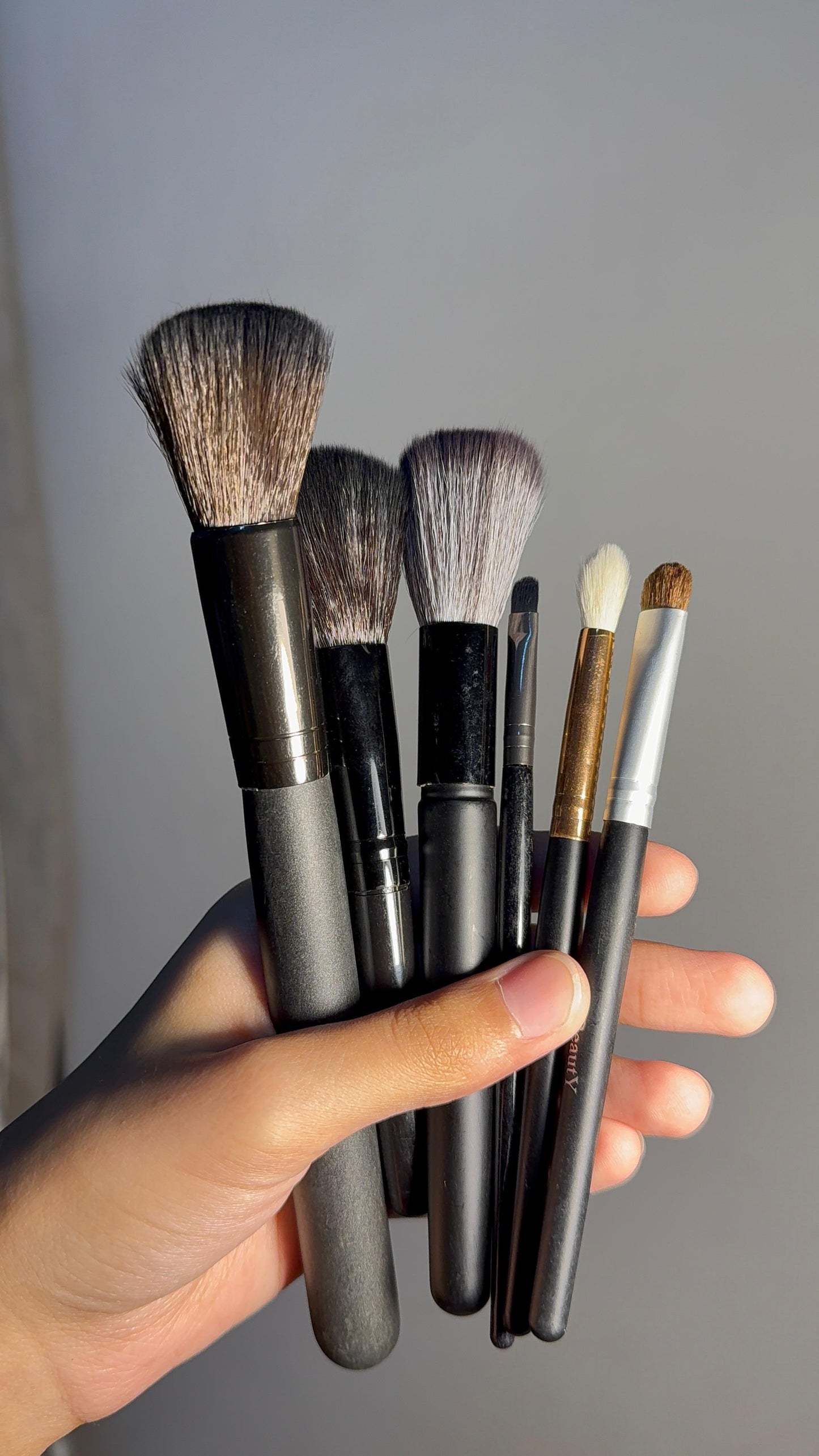 Set of 6 Brushes