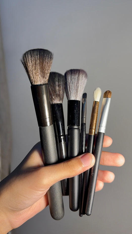 Set of 6 Brushes