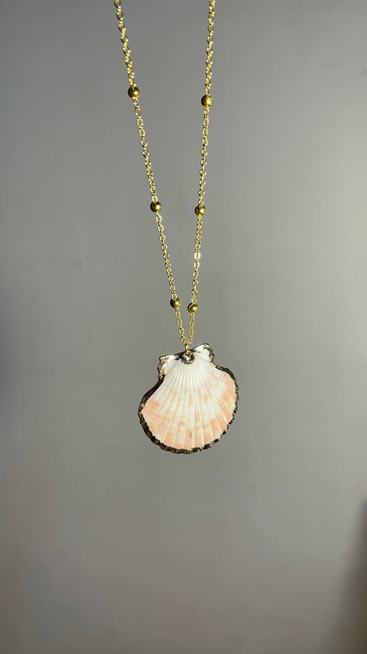 SeaShell Necklace-04