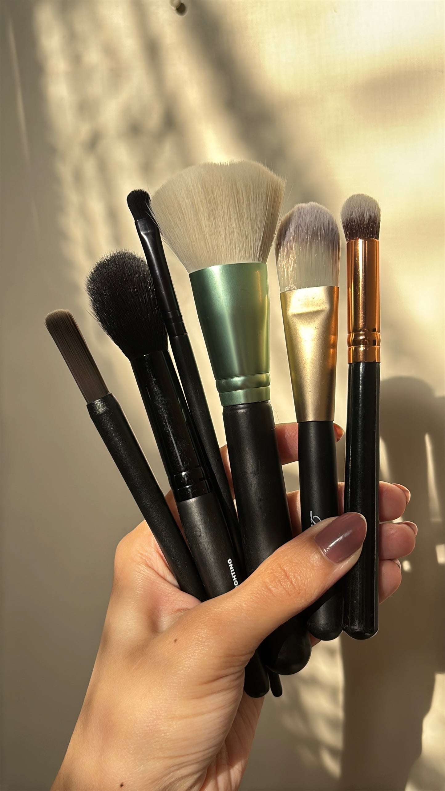 Set of 6 Brushes