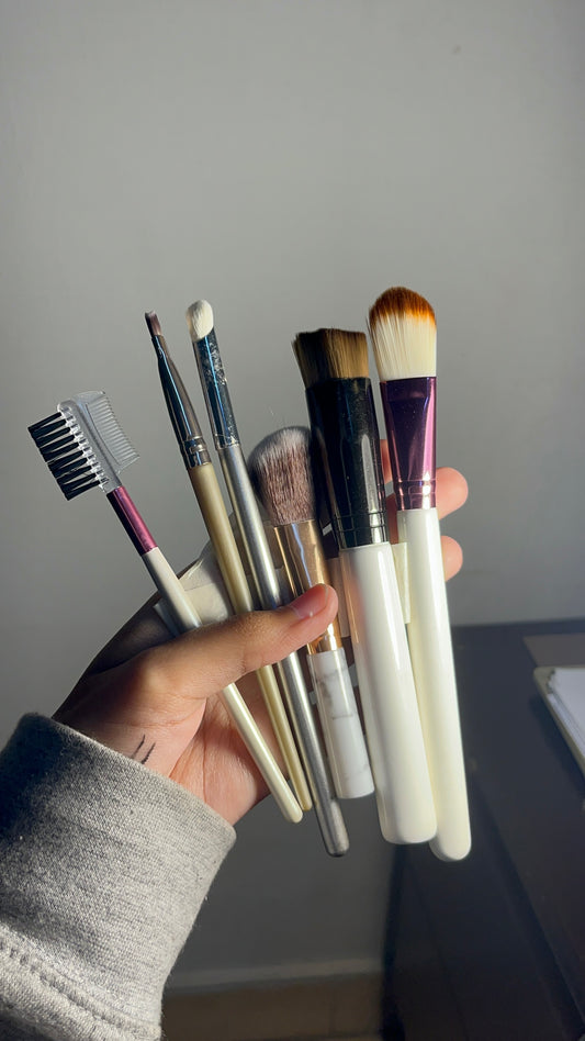 Set of 6 Brushes