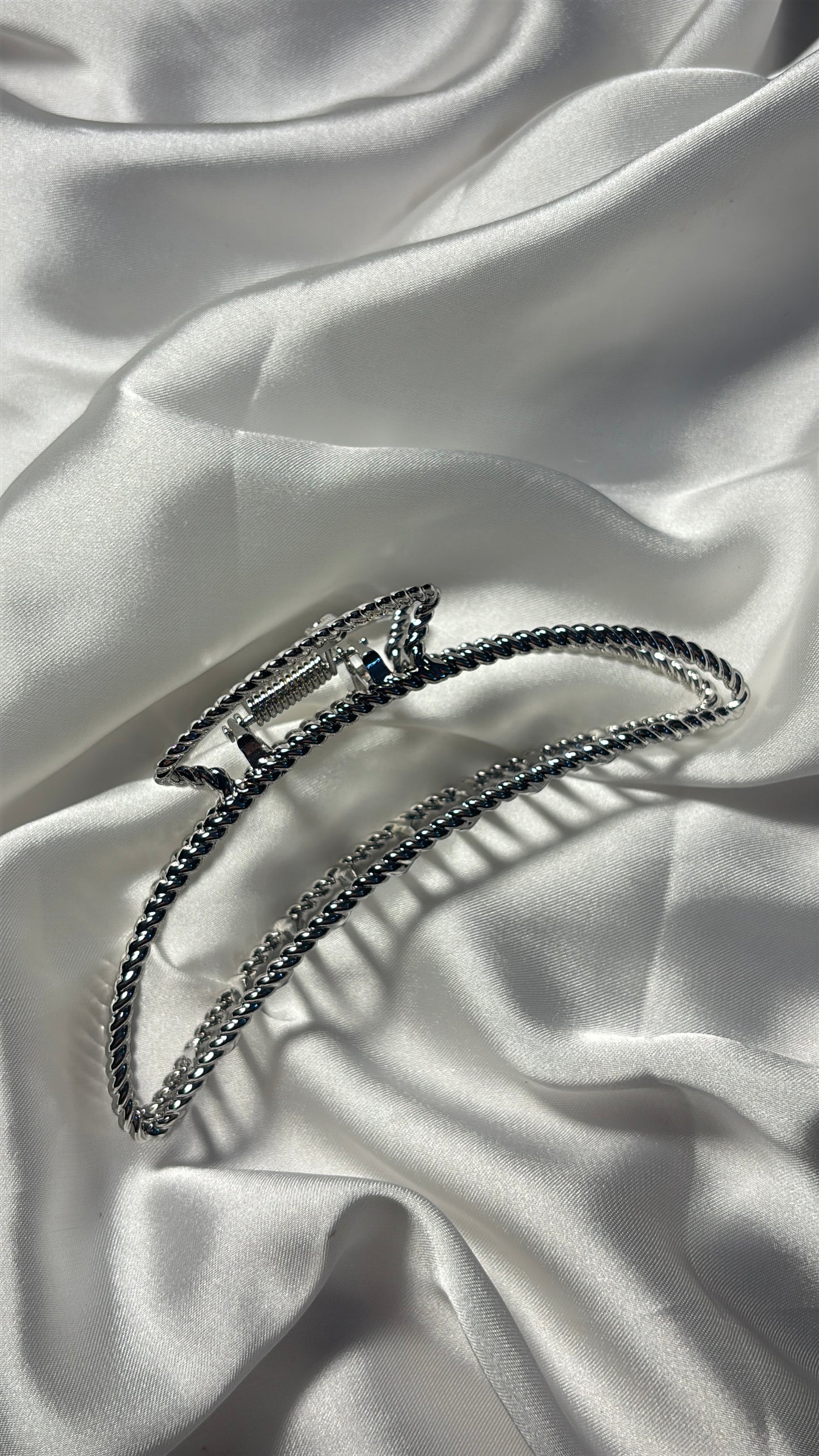 Silver Claw Clip