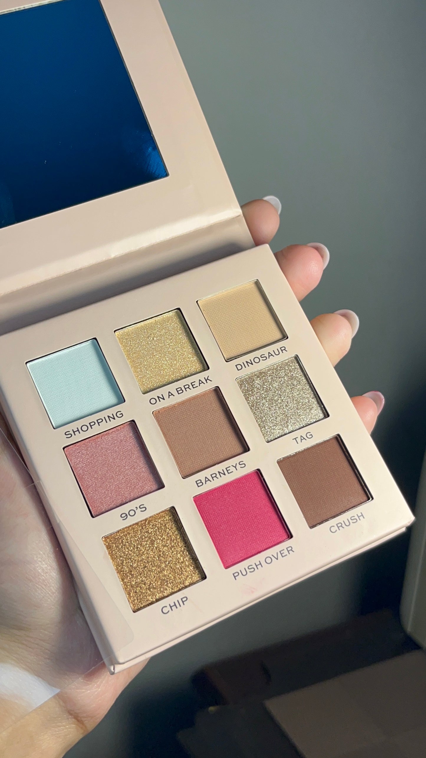 Eyeshadow Palette Friends
