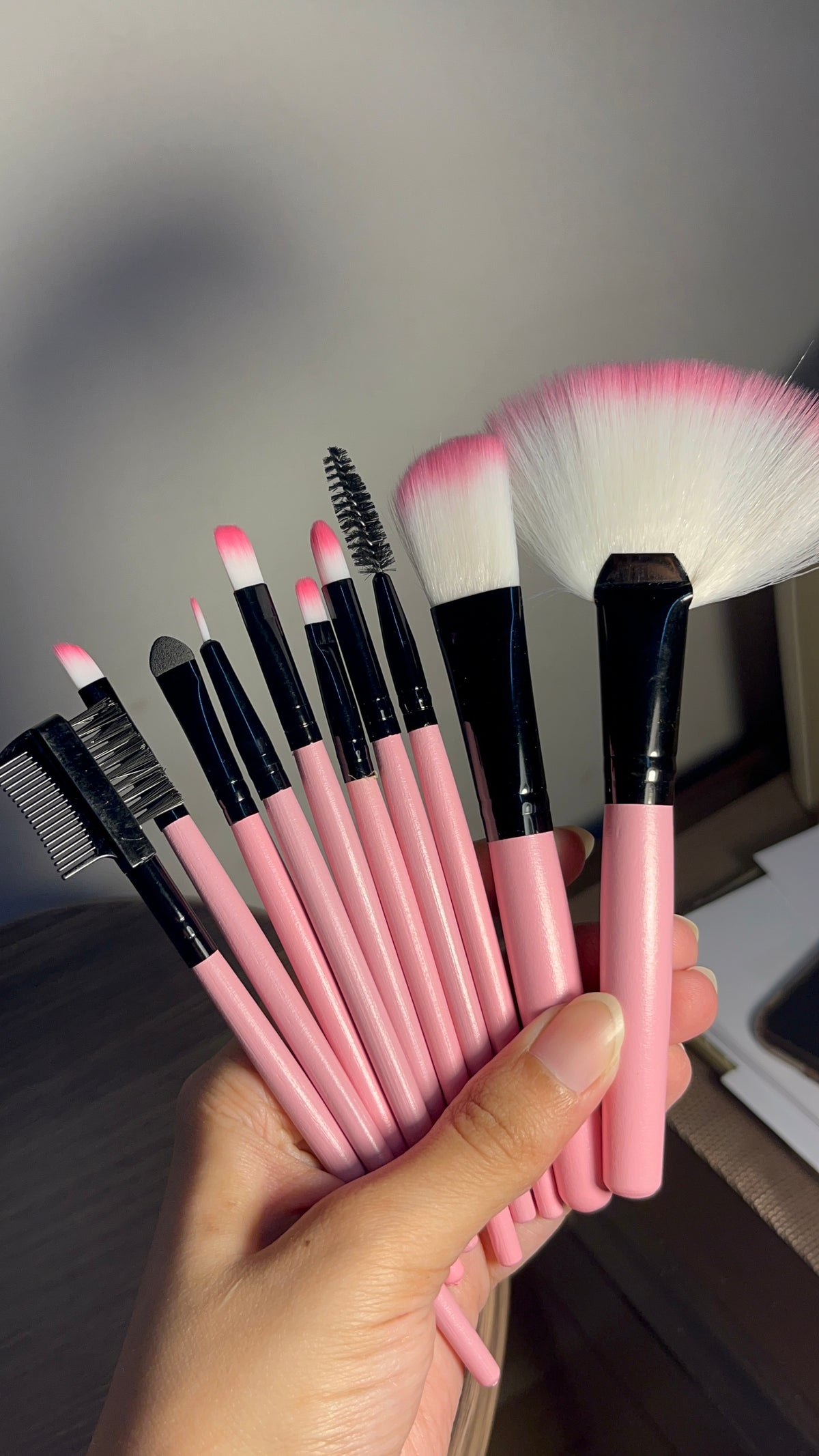 Set of 10 Brushes