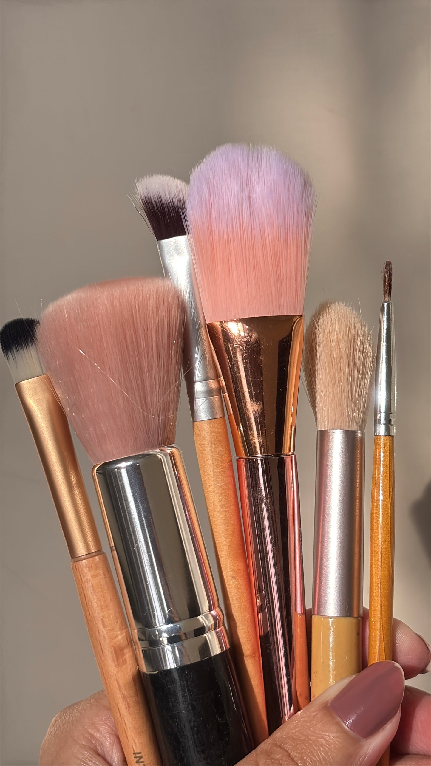 Set of 6 Brushes