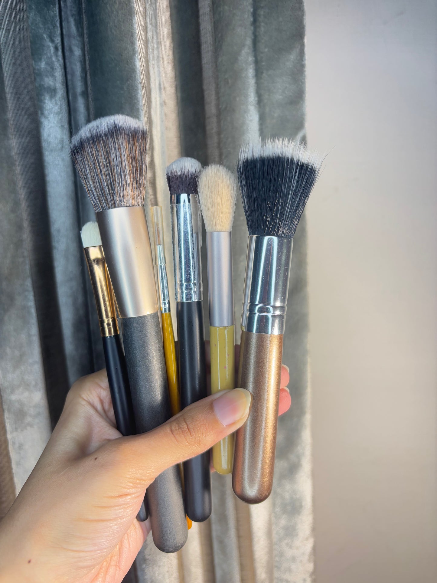 Set of 6 Brushes