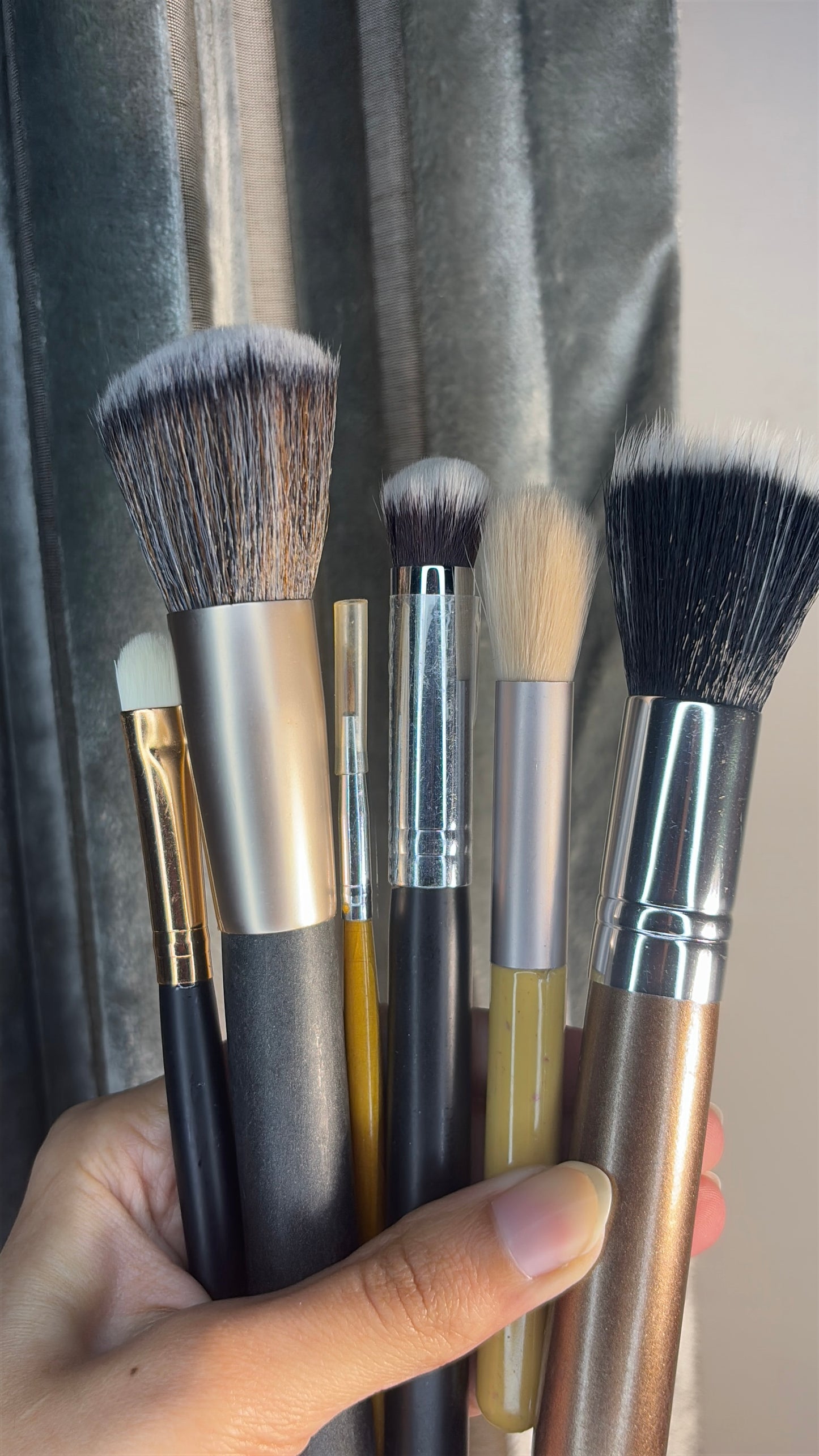 Set of 6 Brushes