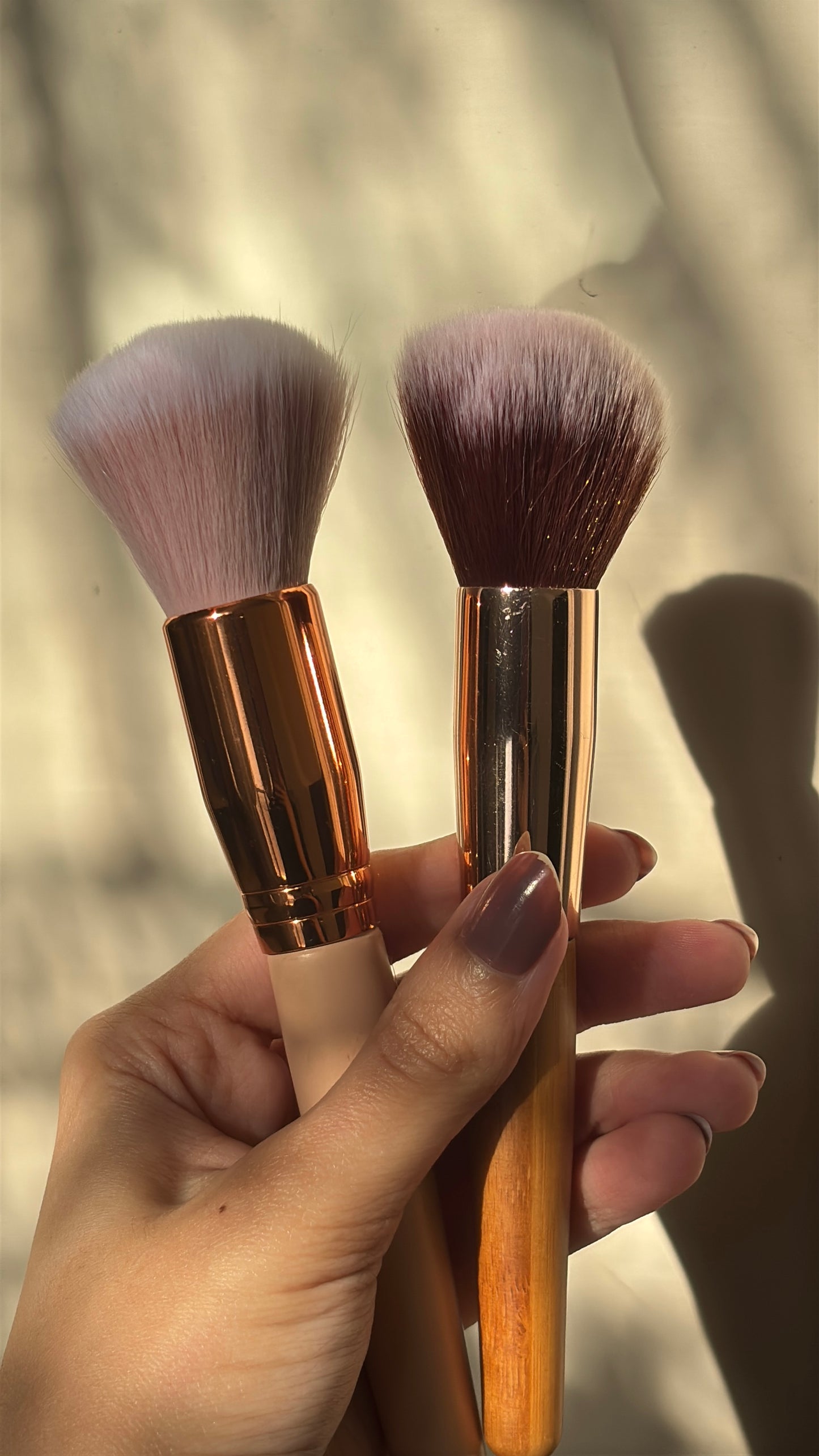 Set of 6 Brushes