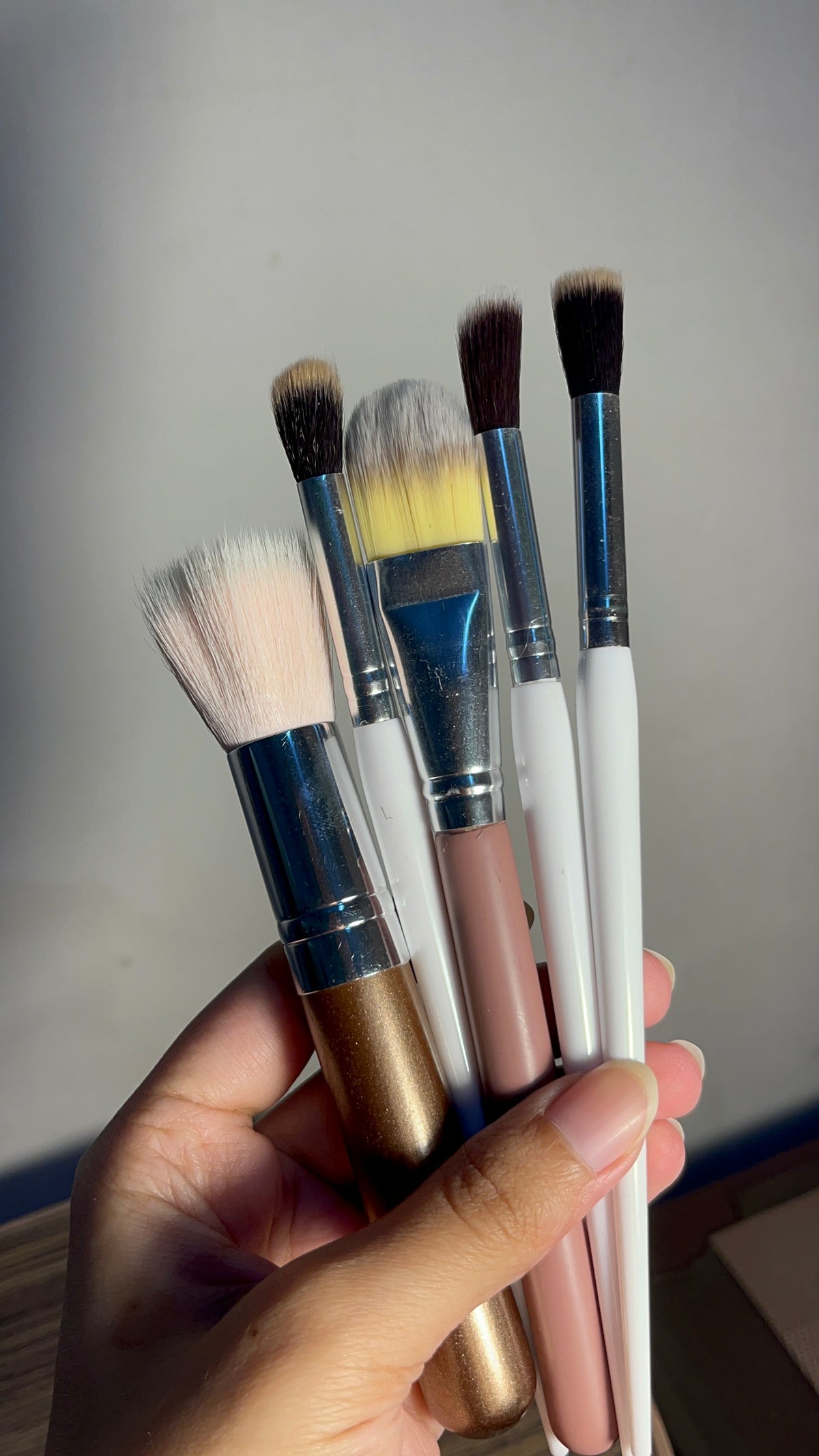 Set of 5 Brushes
