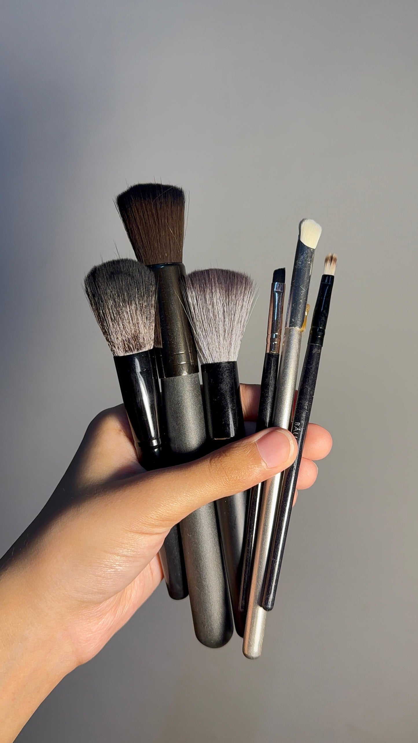 Set of 6 Brushes