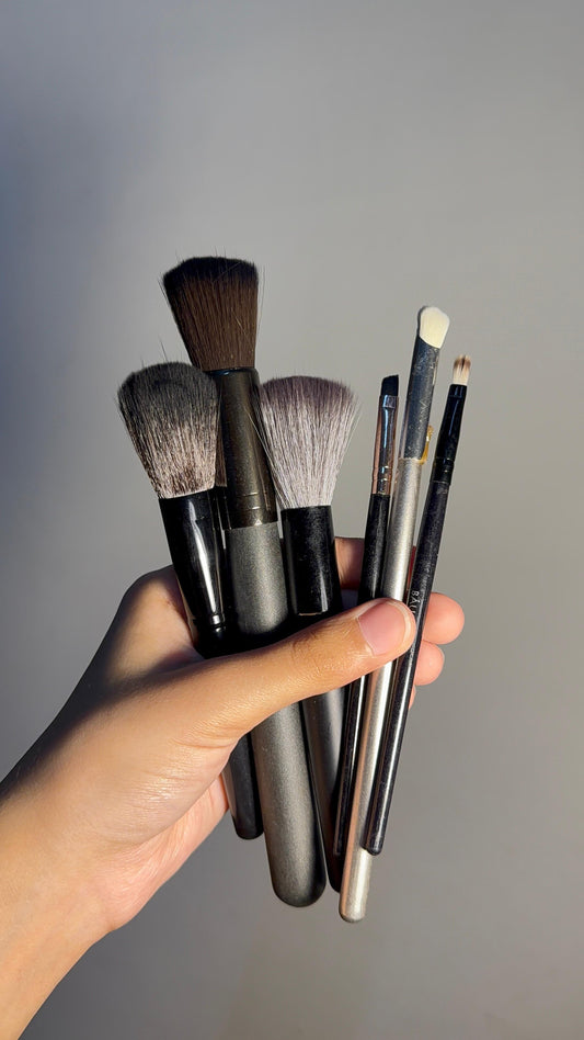 Set of 6 Brushes