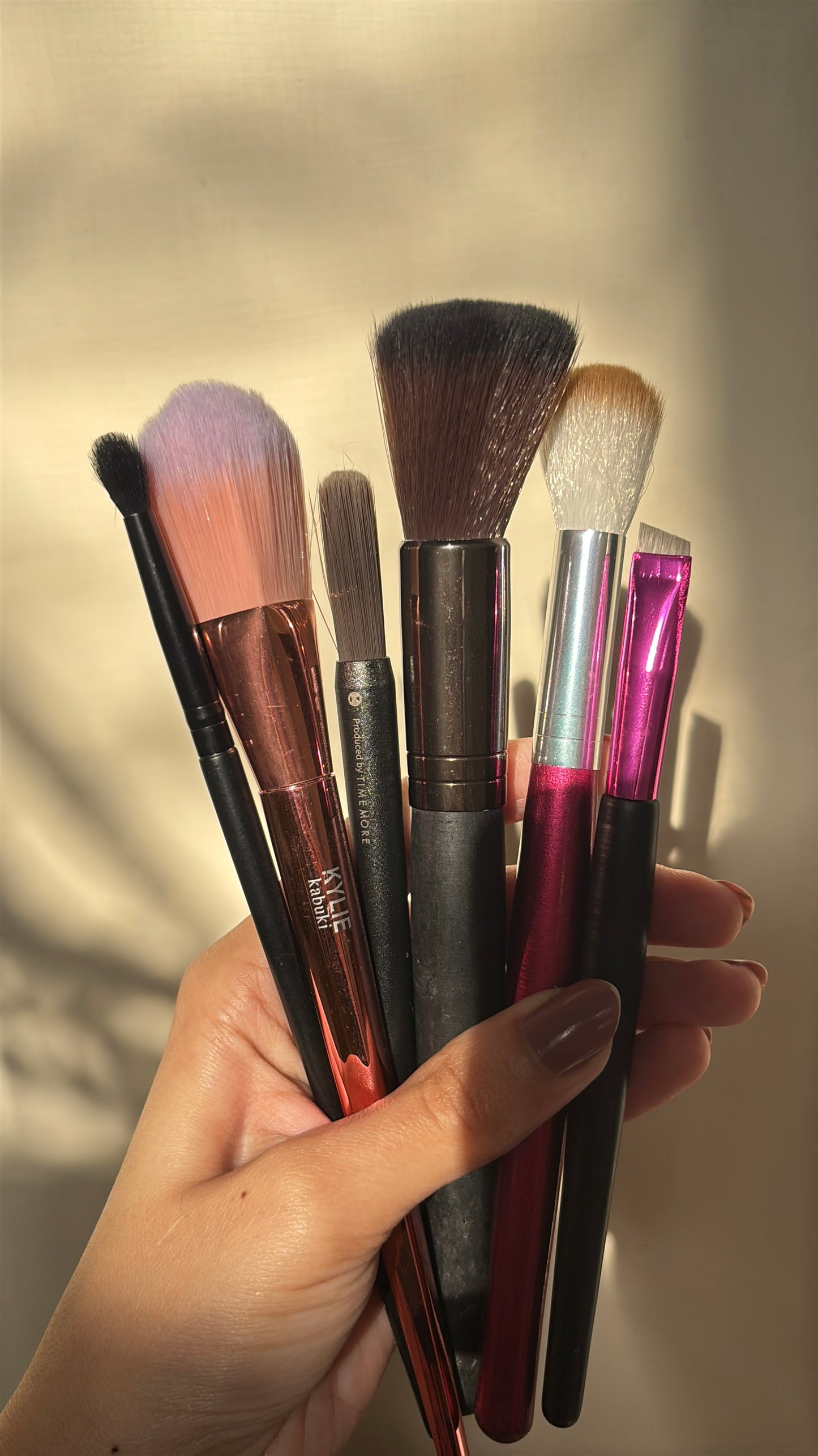 Set of 6 Brushes