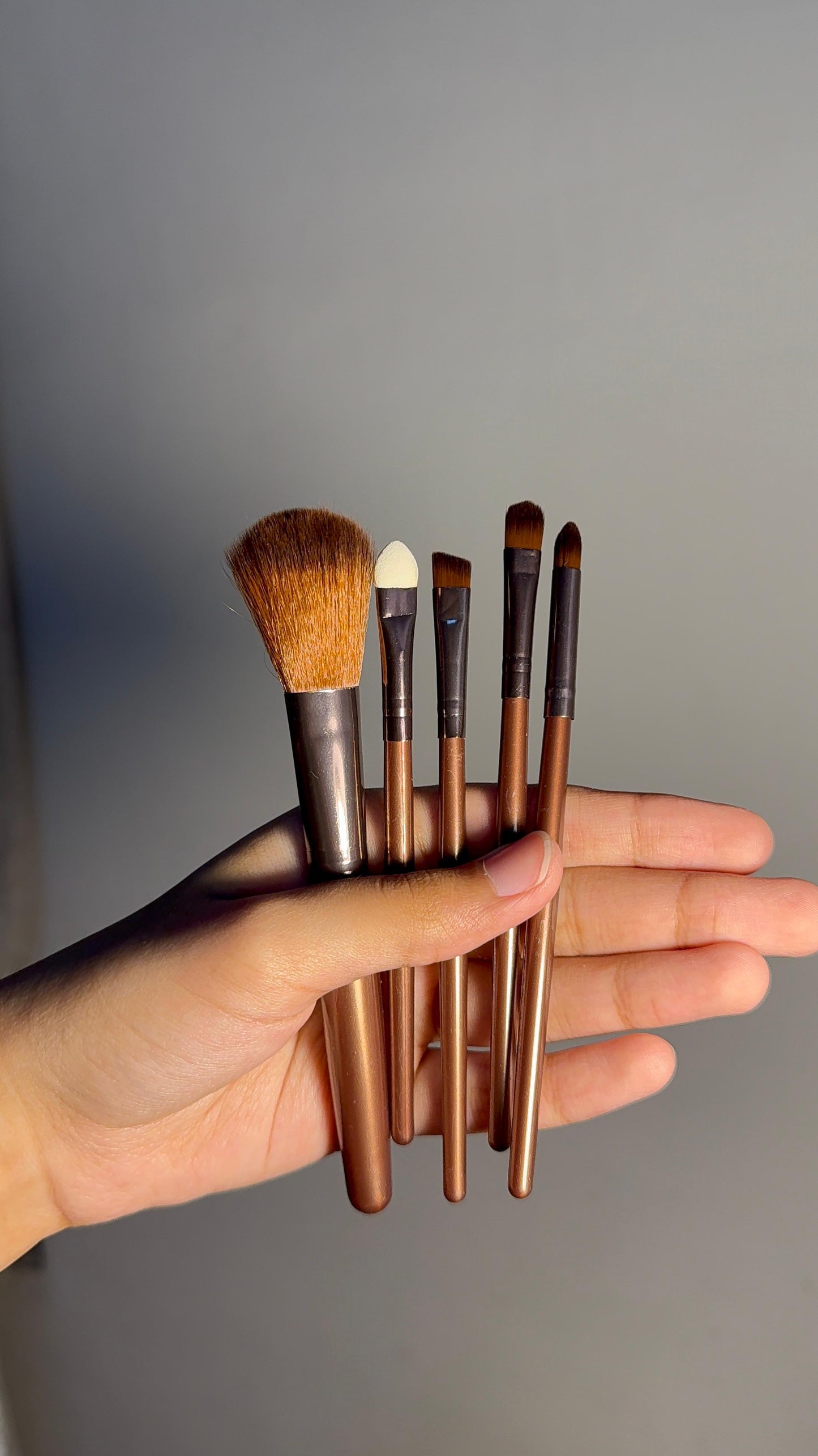 Set of 5 Brushes