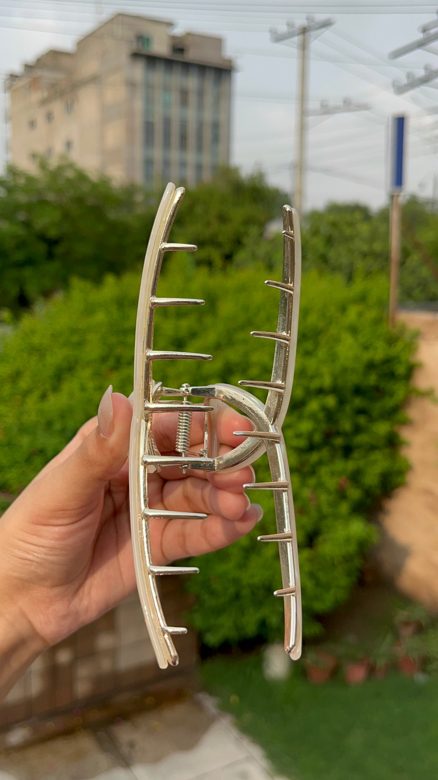 Claw clip