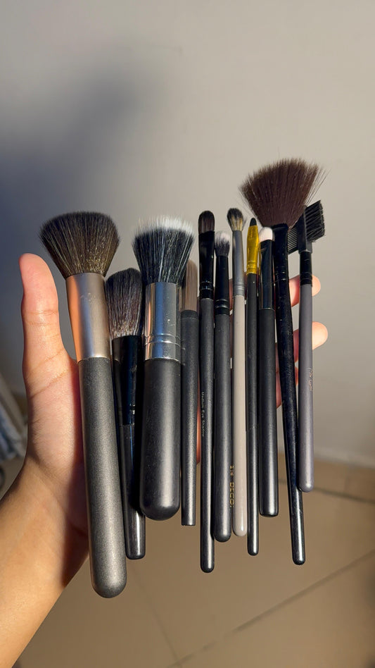 Set of 11 Brushes