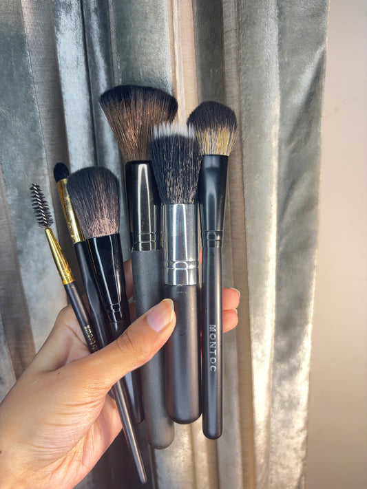 Set of 6 Brushes