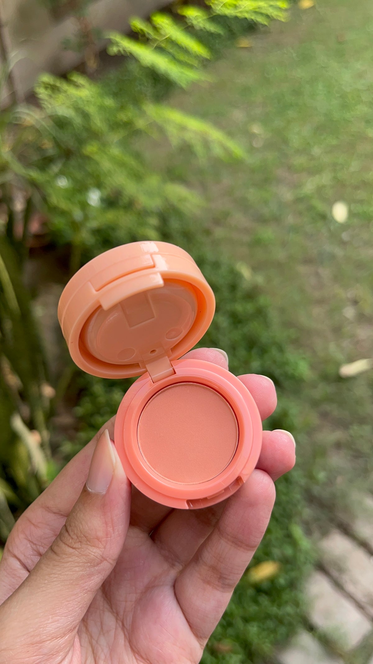 All in one Blush and Highlighter