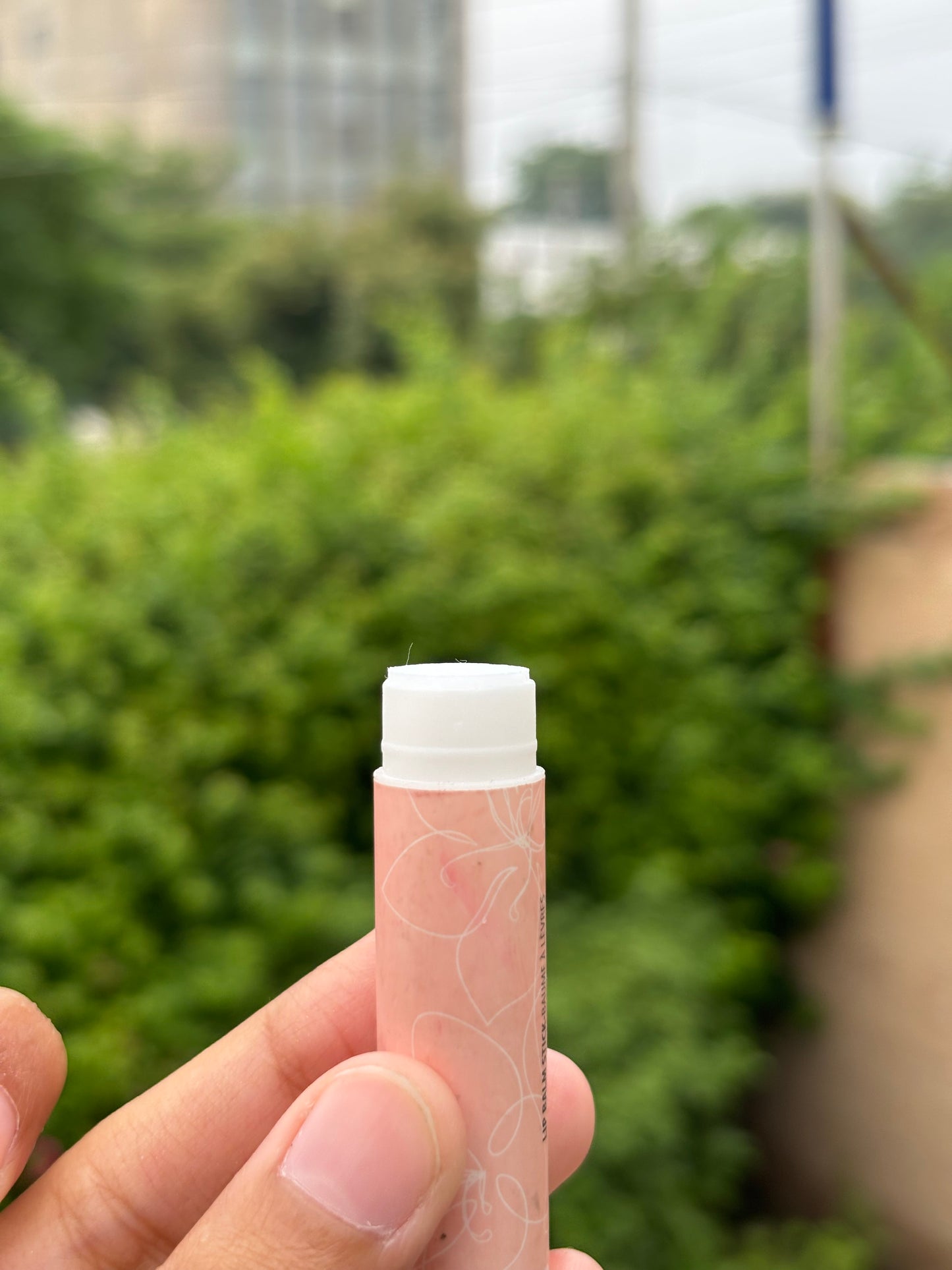 LipBalm