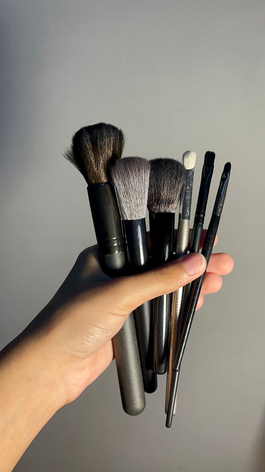 Set of 6 Brushes