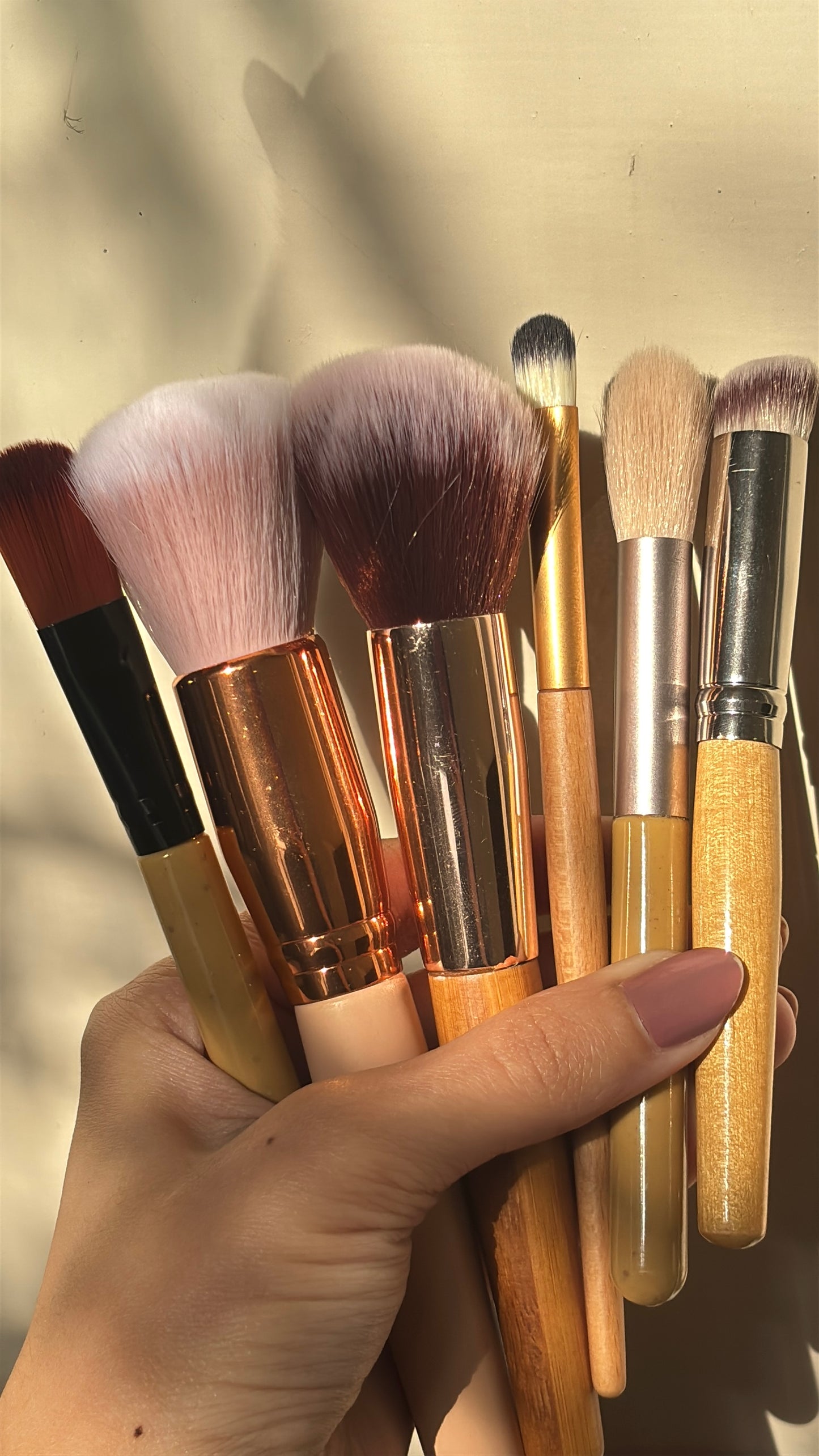 Set of 6 Brushes