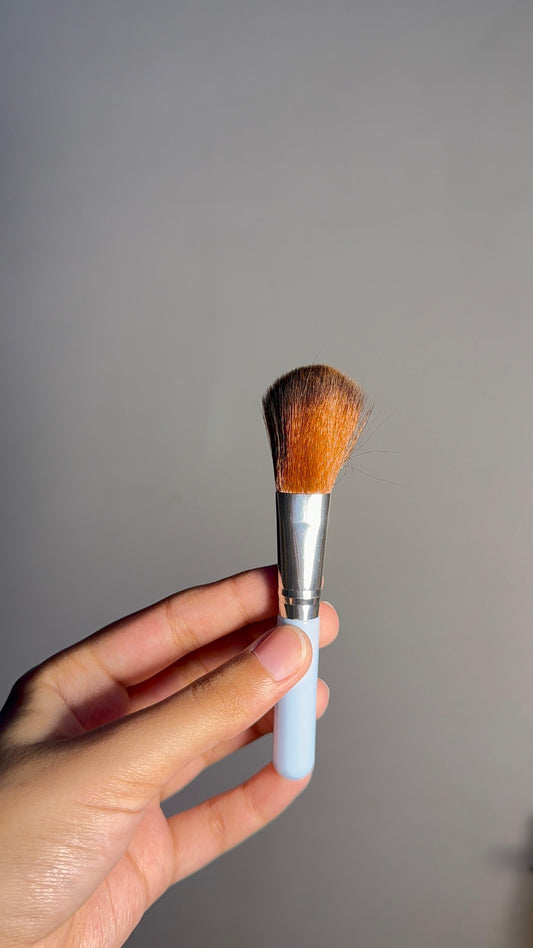 Single Brush