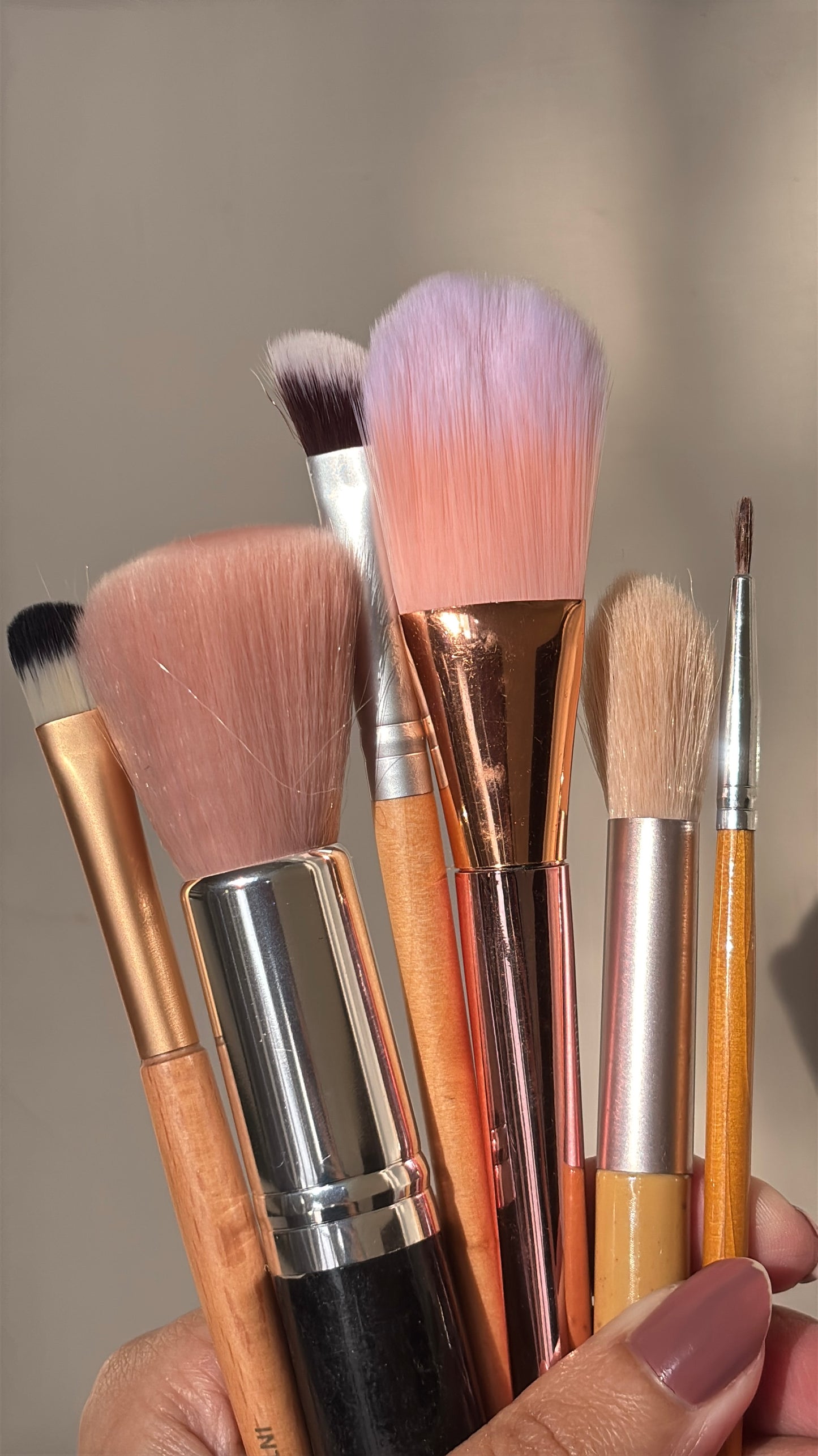 Set of 6 Brushes