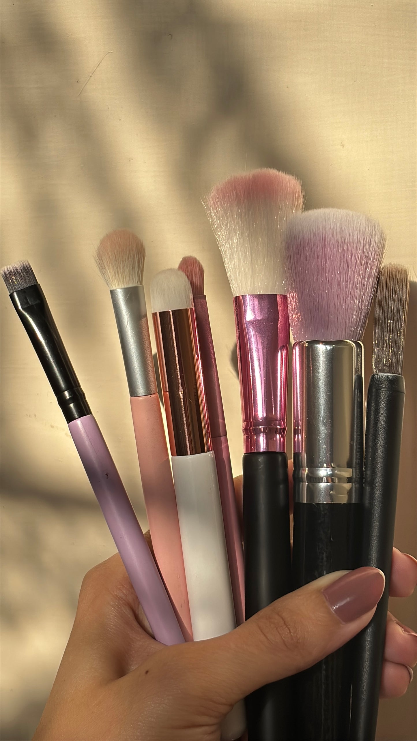 Set of 7 Brushes