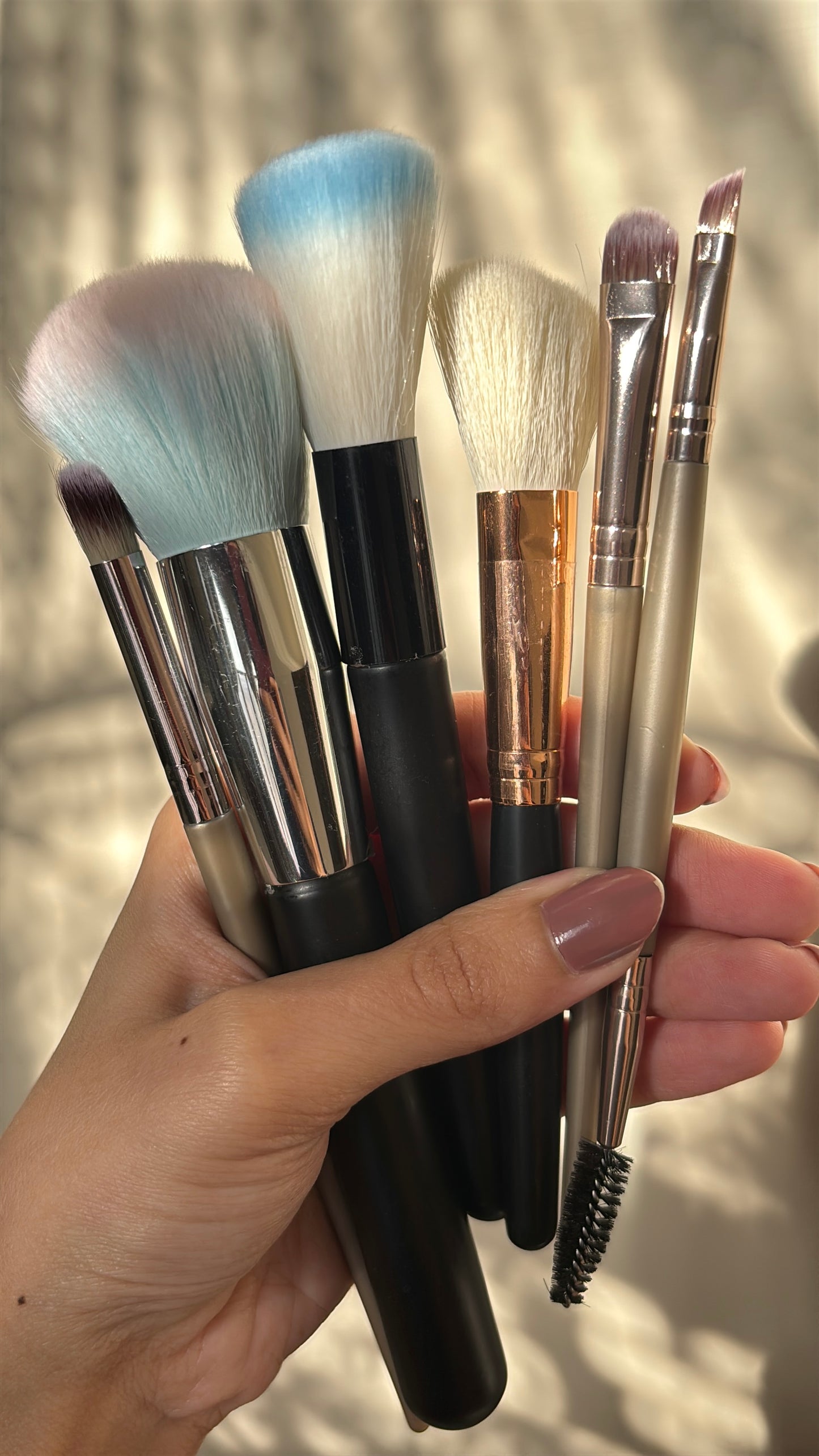 Set of 6 Brushes