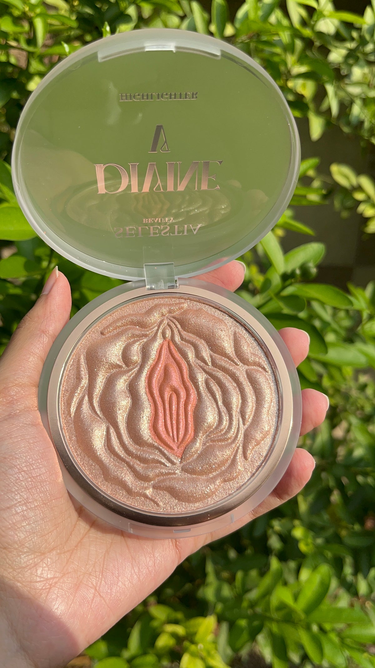 Salestiaa Highlighter