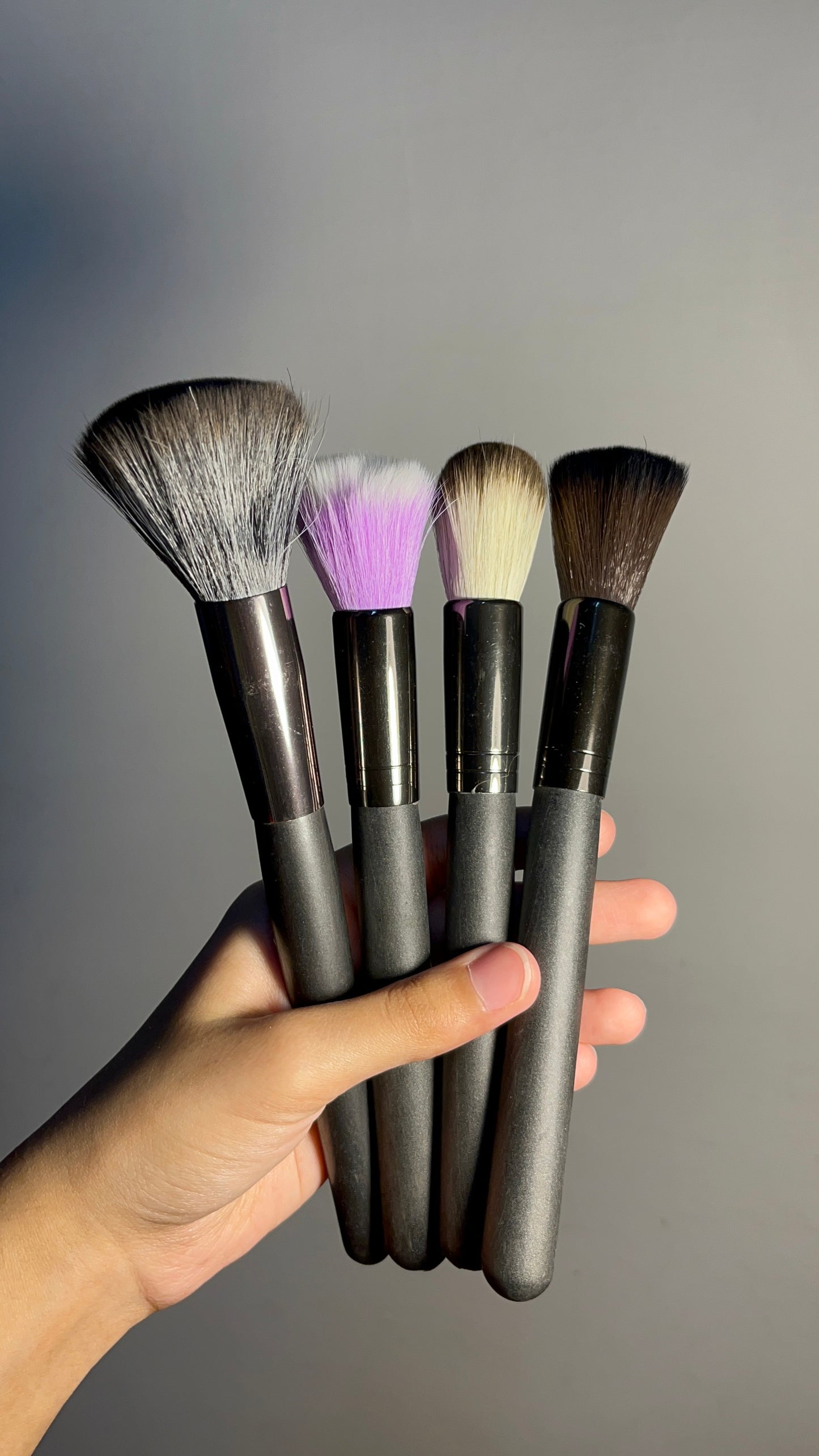 Set of 4 Brushes