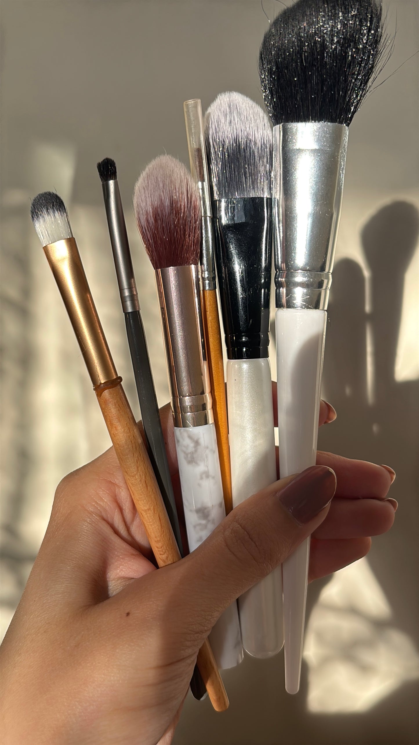 Set of 6 Brushes