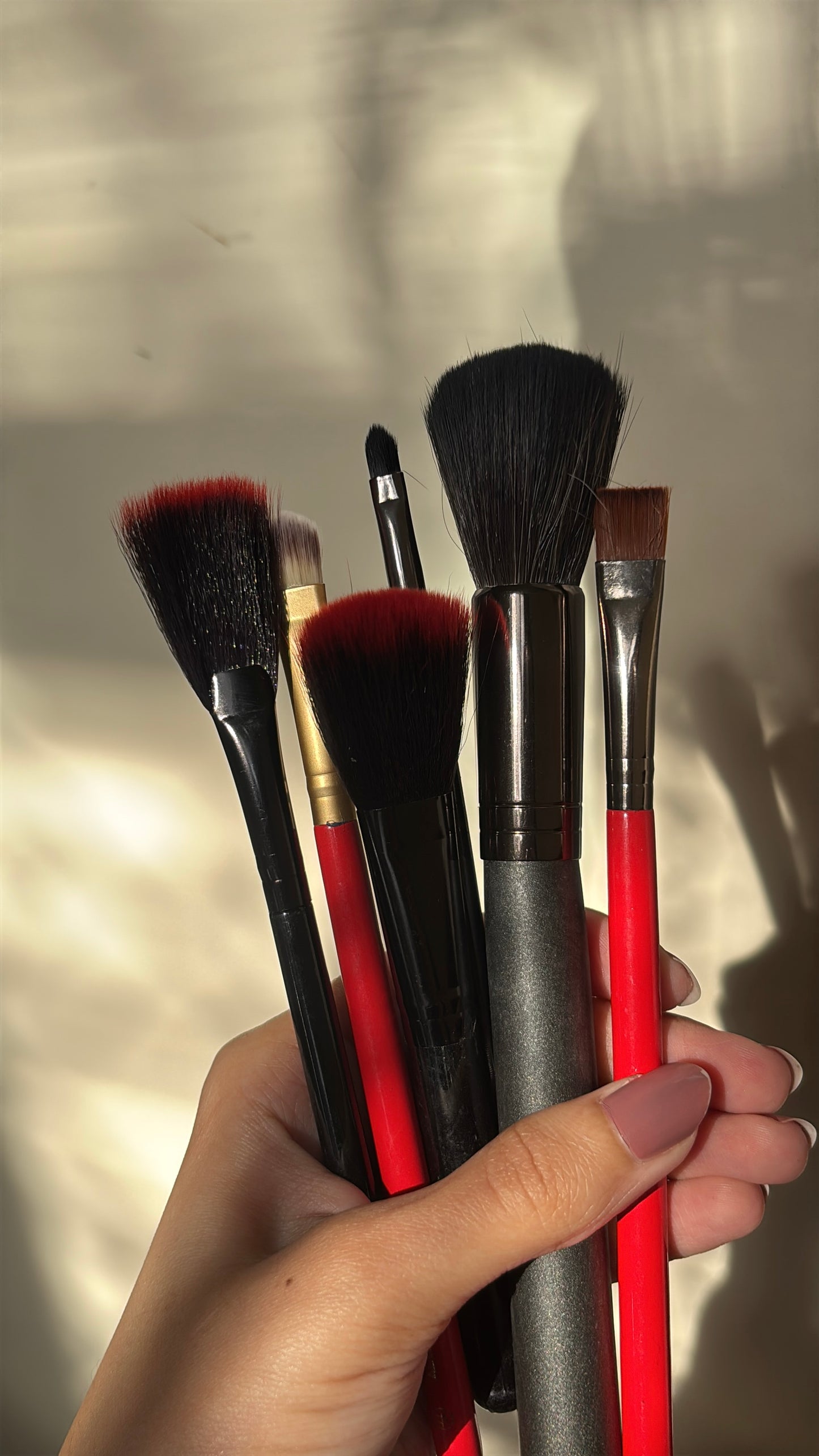 Set of 6 Brushes